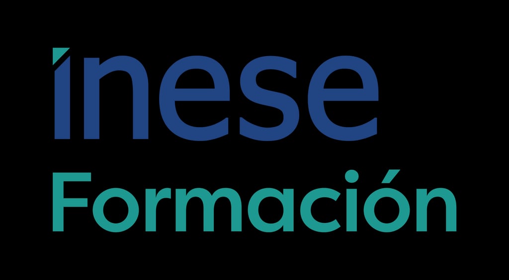 Logo INESE Insurance School